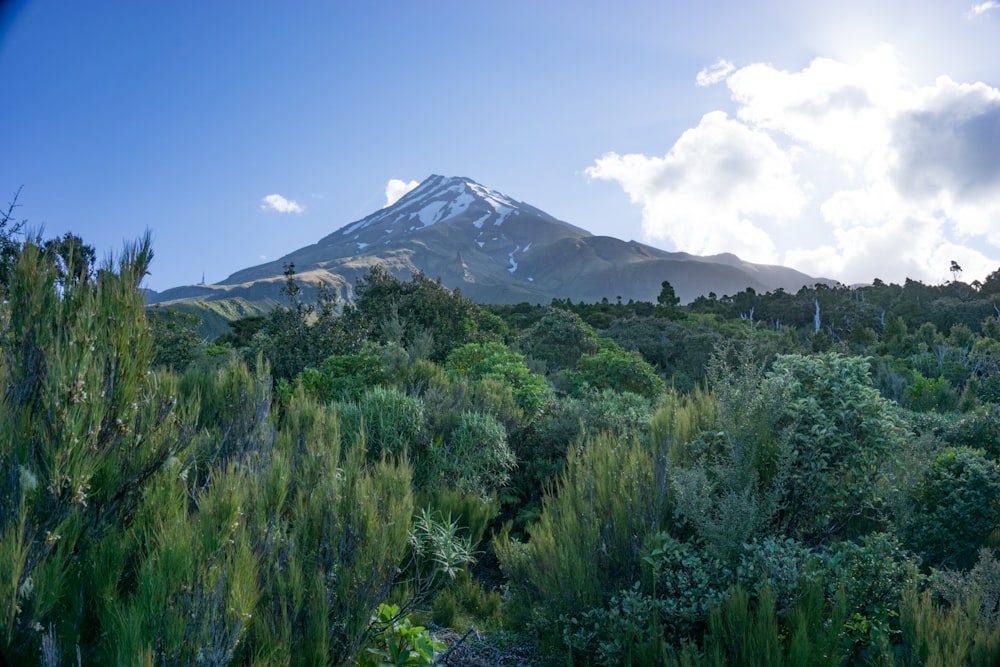 campo de hierba verde cerca de la montaña bajo el cielo azul durante el día