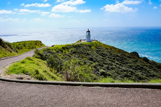 white and black lighthouse on green grass field near body of water during daytime in Cape Reinga New Zealand