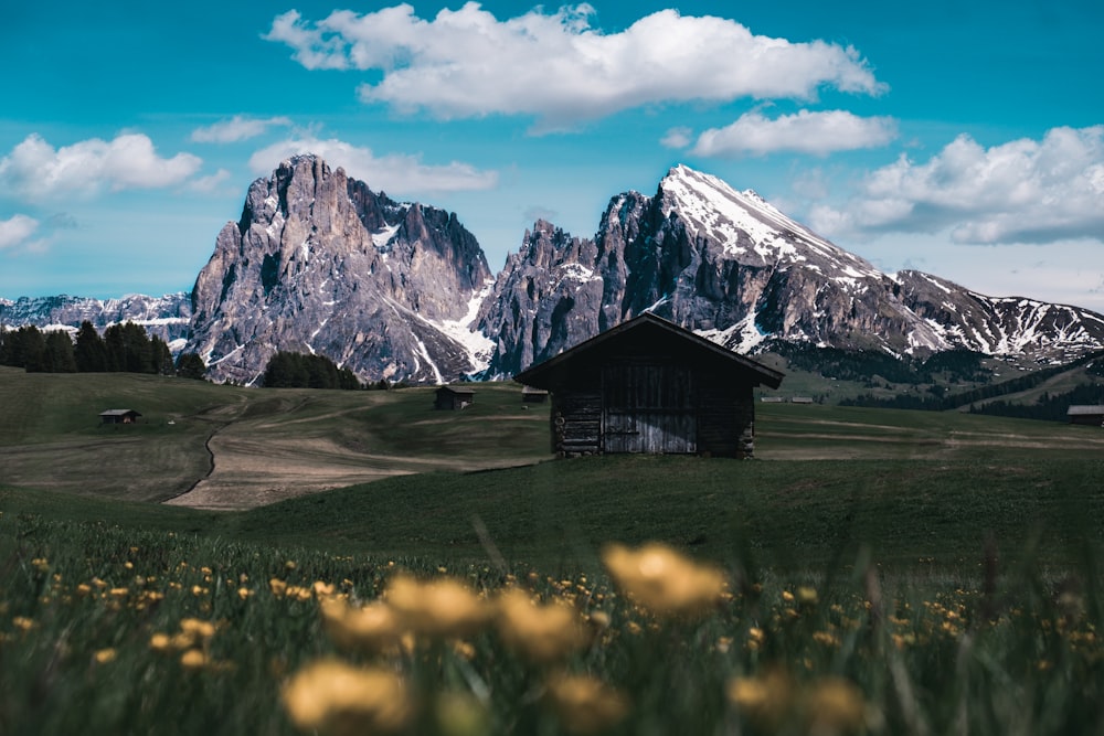 brown wooden house on green grass field near snow covered mountain under blue sky during daytime