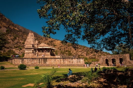 brown wooden house near green grass field during daytime in Bhangarh India