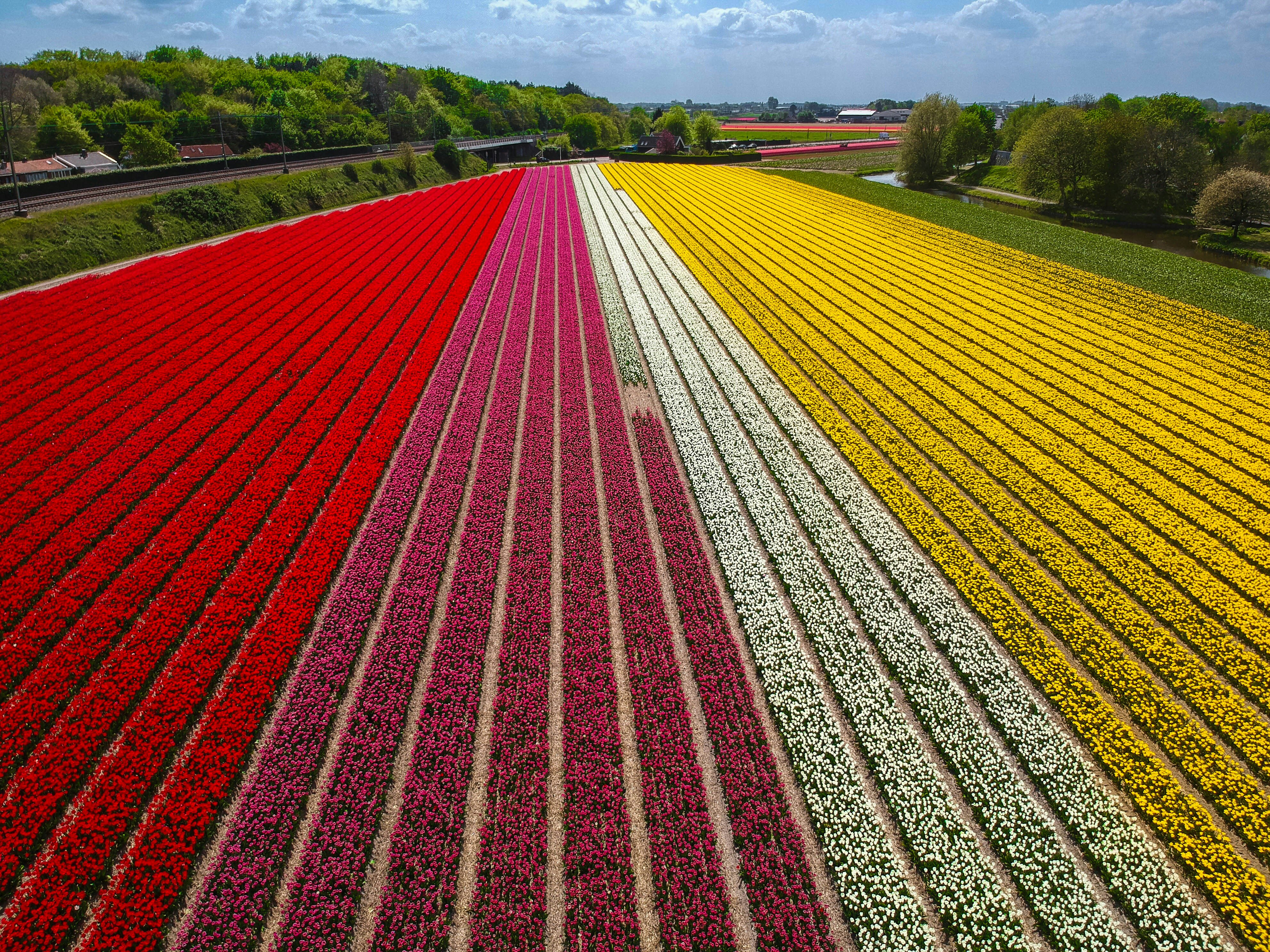 red and yellow road sign