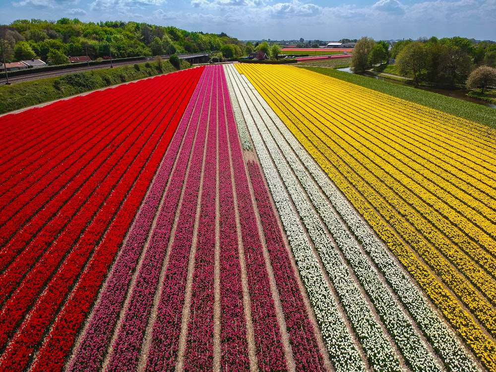 red and yellow road sign