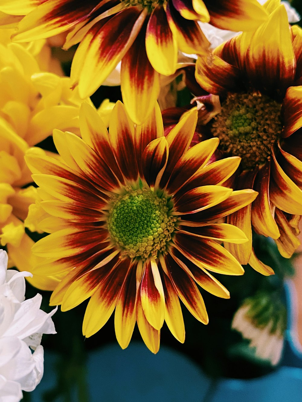 yellow sunflower in bloom during daytime