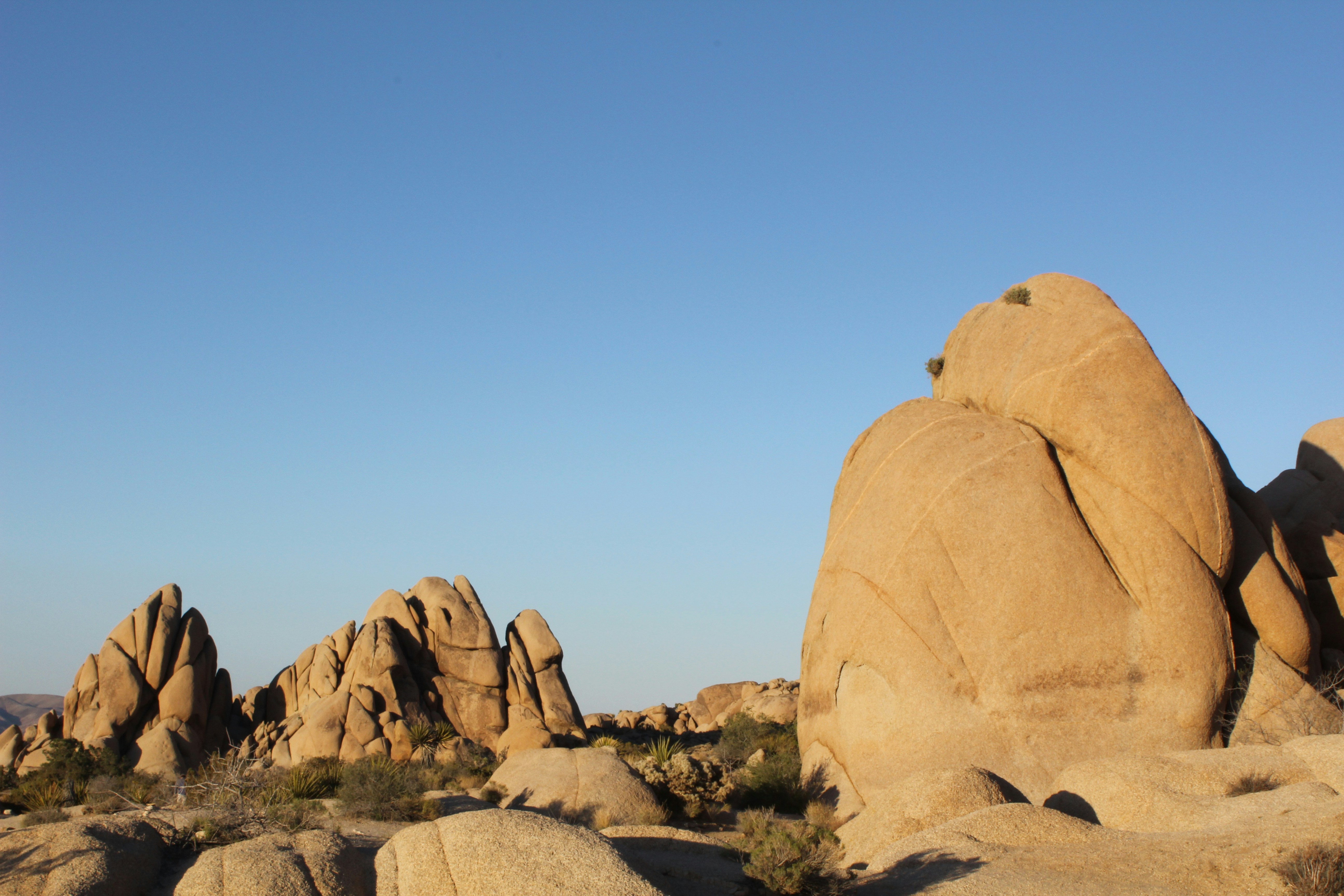 Photo by jarrelltaylorlt