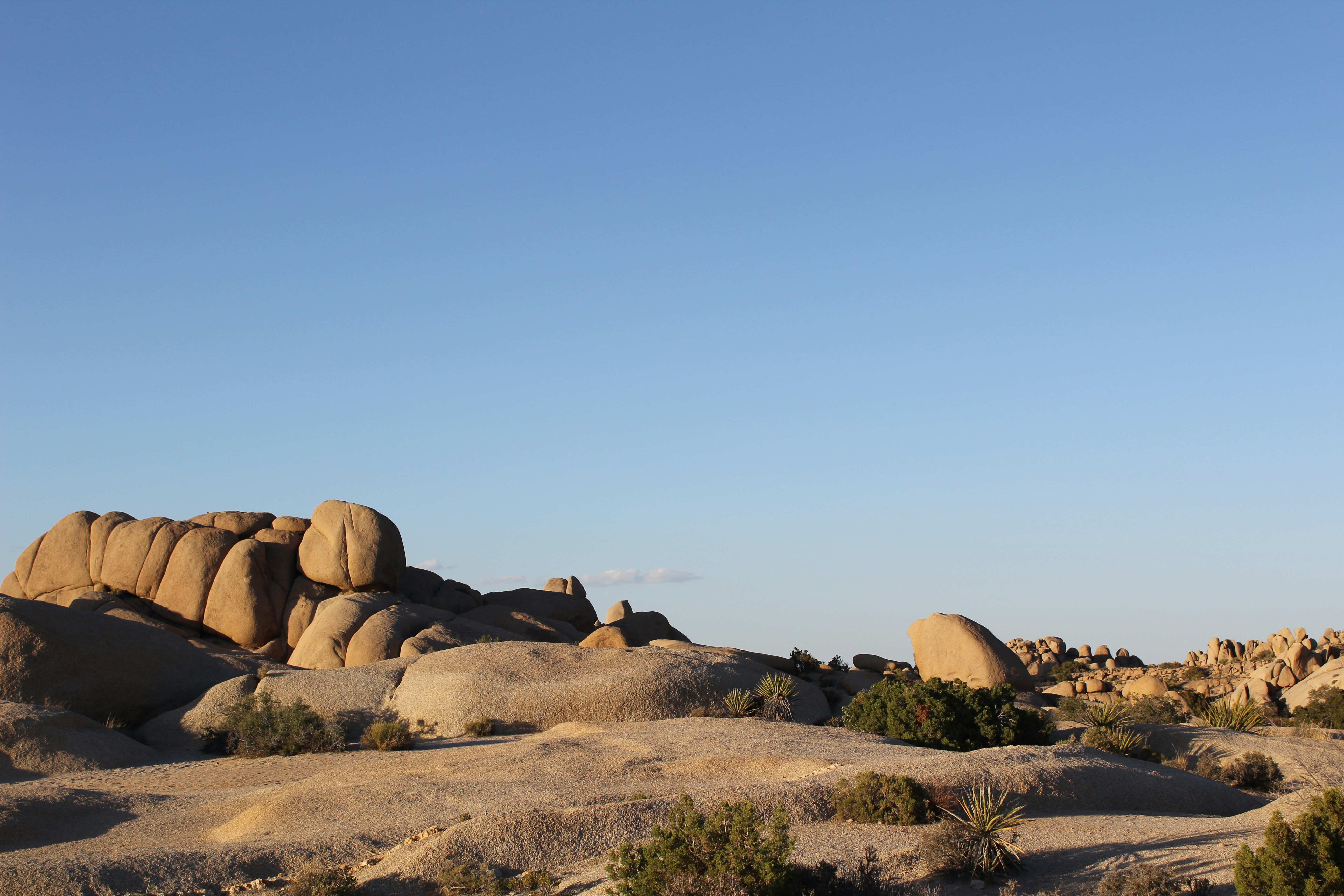 Photo by jarrelltaylorlt