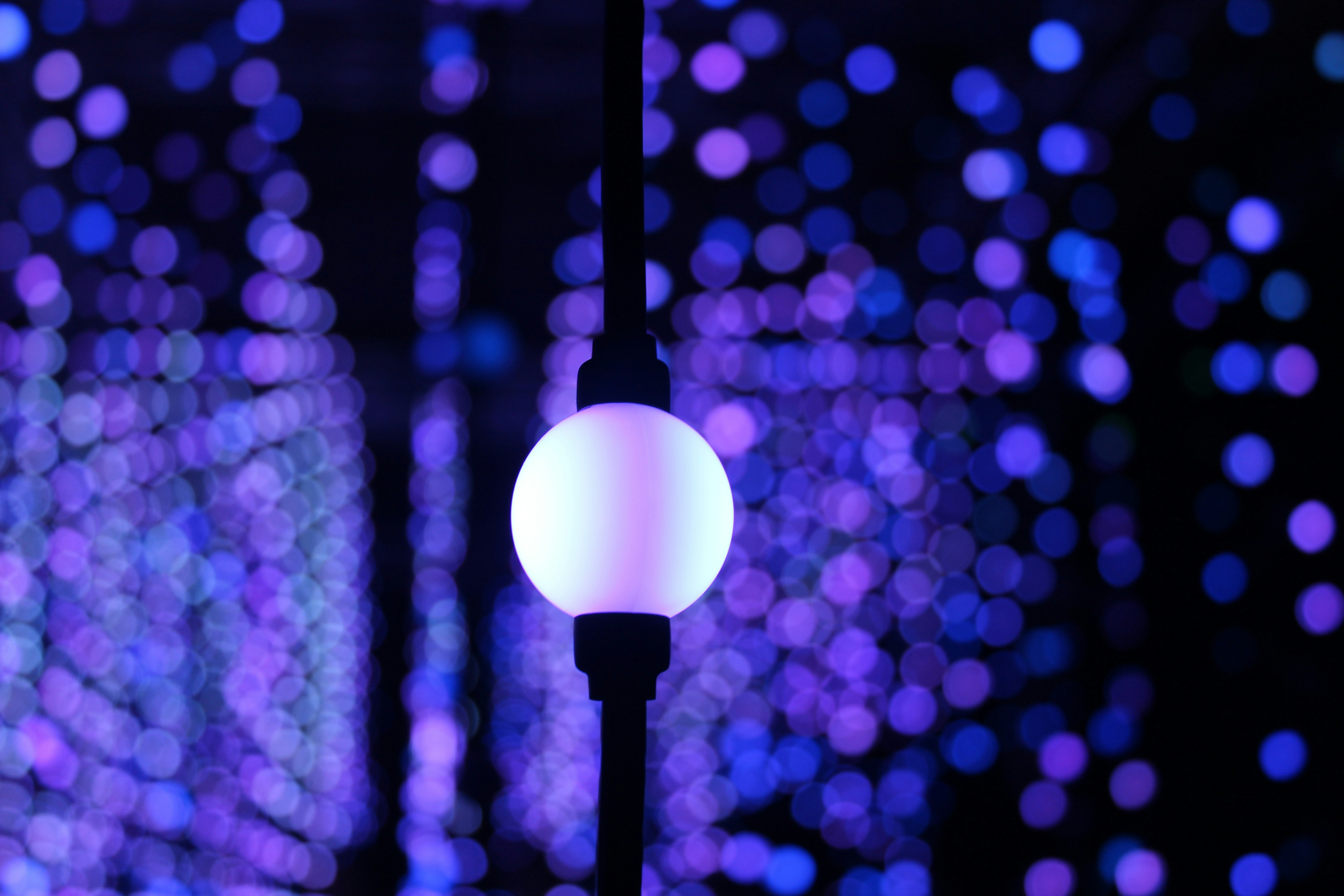 Photo by jarrelltaylorlt