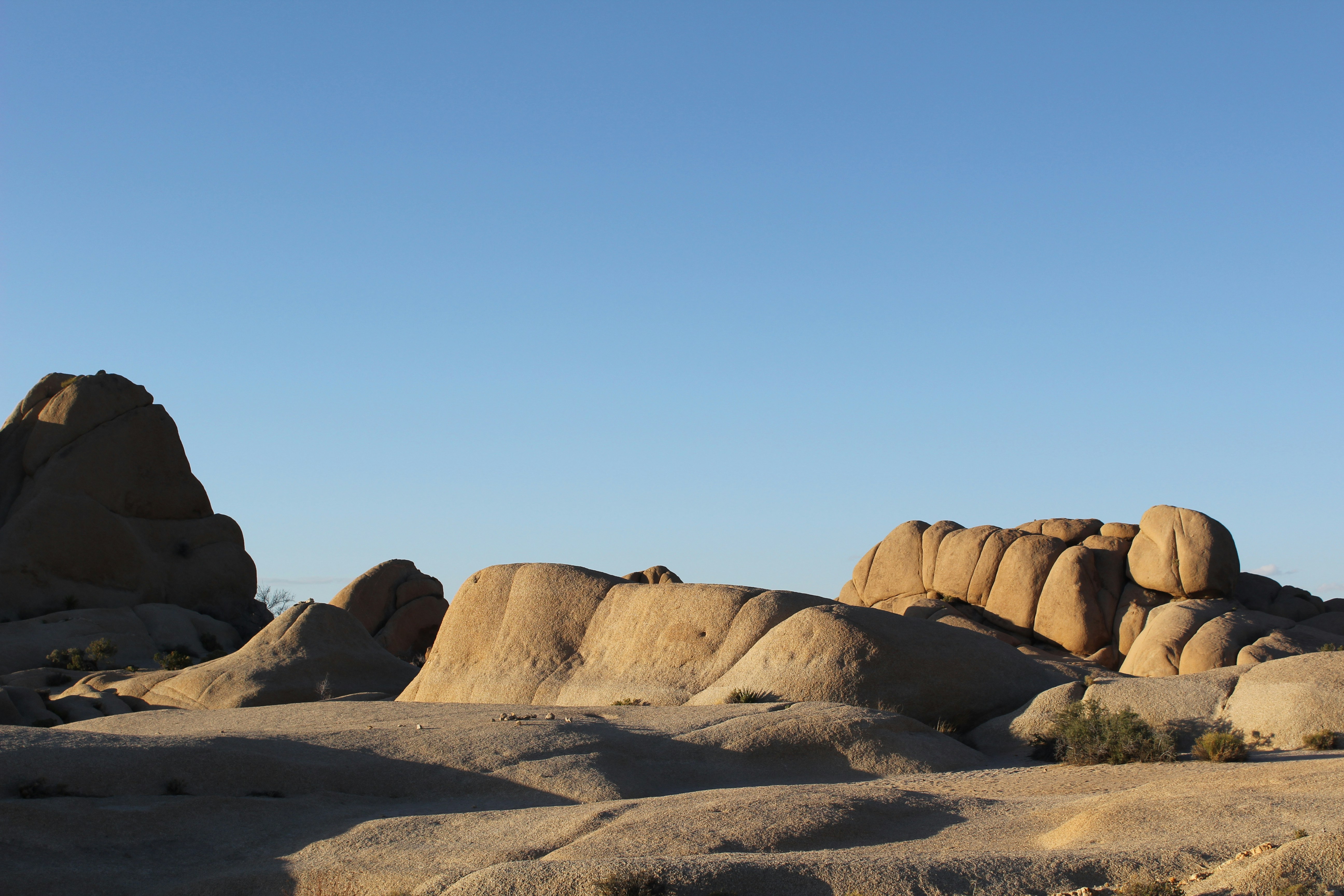 Photo by jarrelltaylorlt