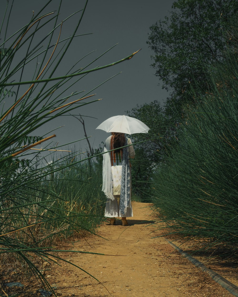 Mujer en vestido blanco de pie en el campo de hierba verde durante el día