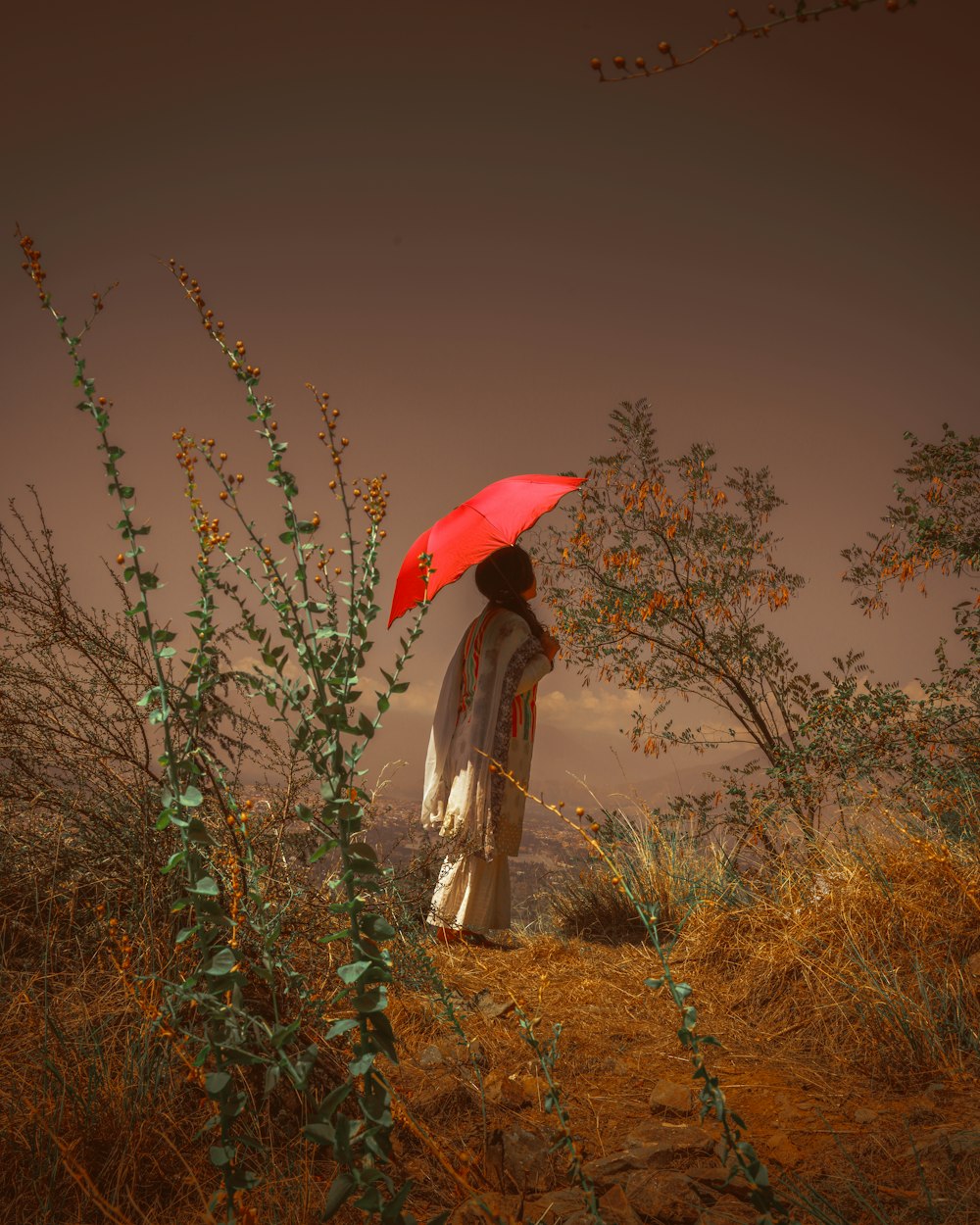 회색 드레스를 입은 여자는 낮에 갈색 잔디밭에 서 있는 빨간 우산을 들고 있다