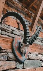 A rustic wooden horn with intricate carvings displayed against a natural backdrop.