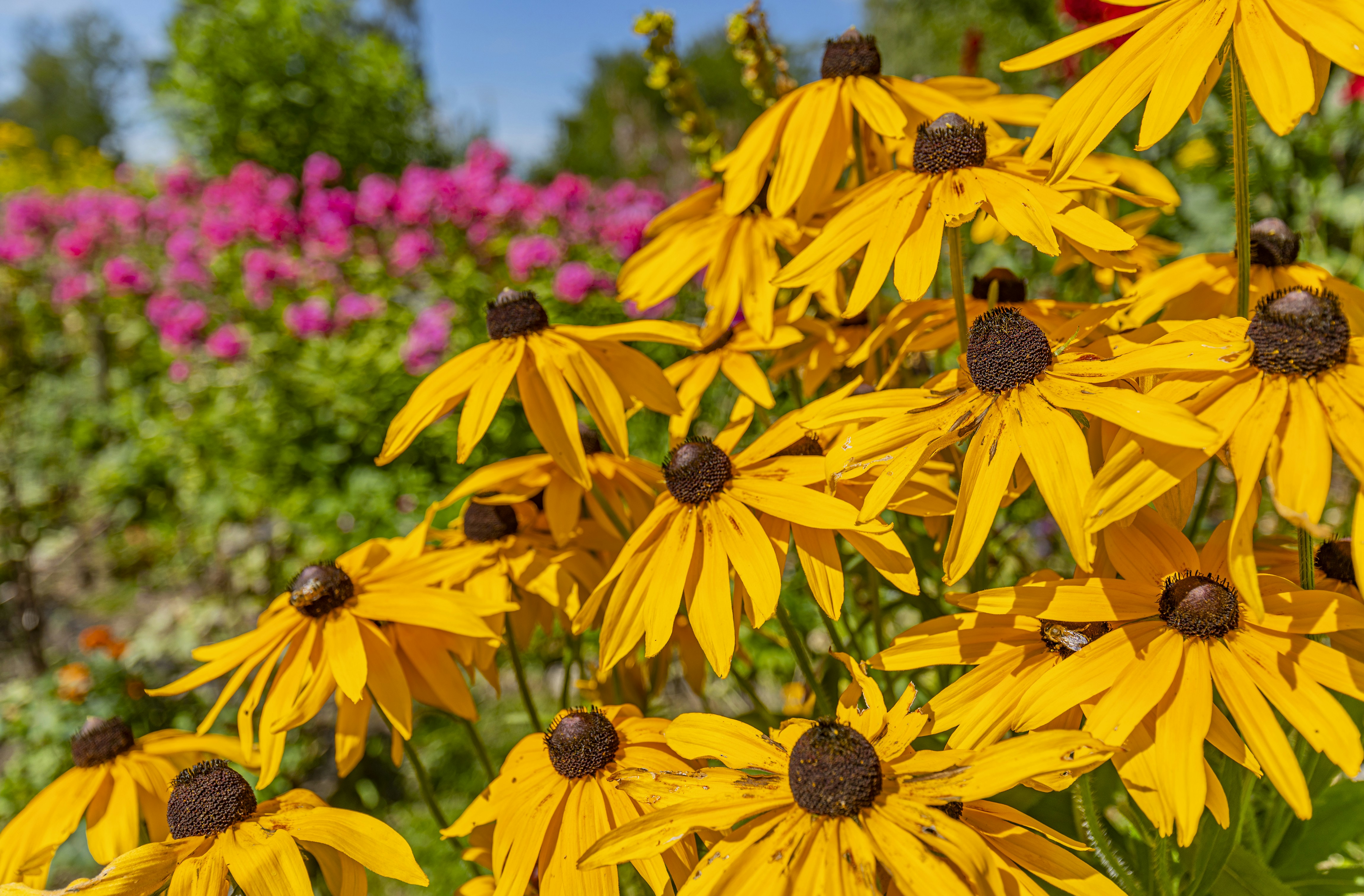 Photo by erik_karits