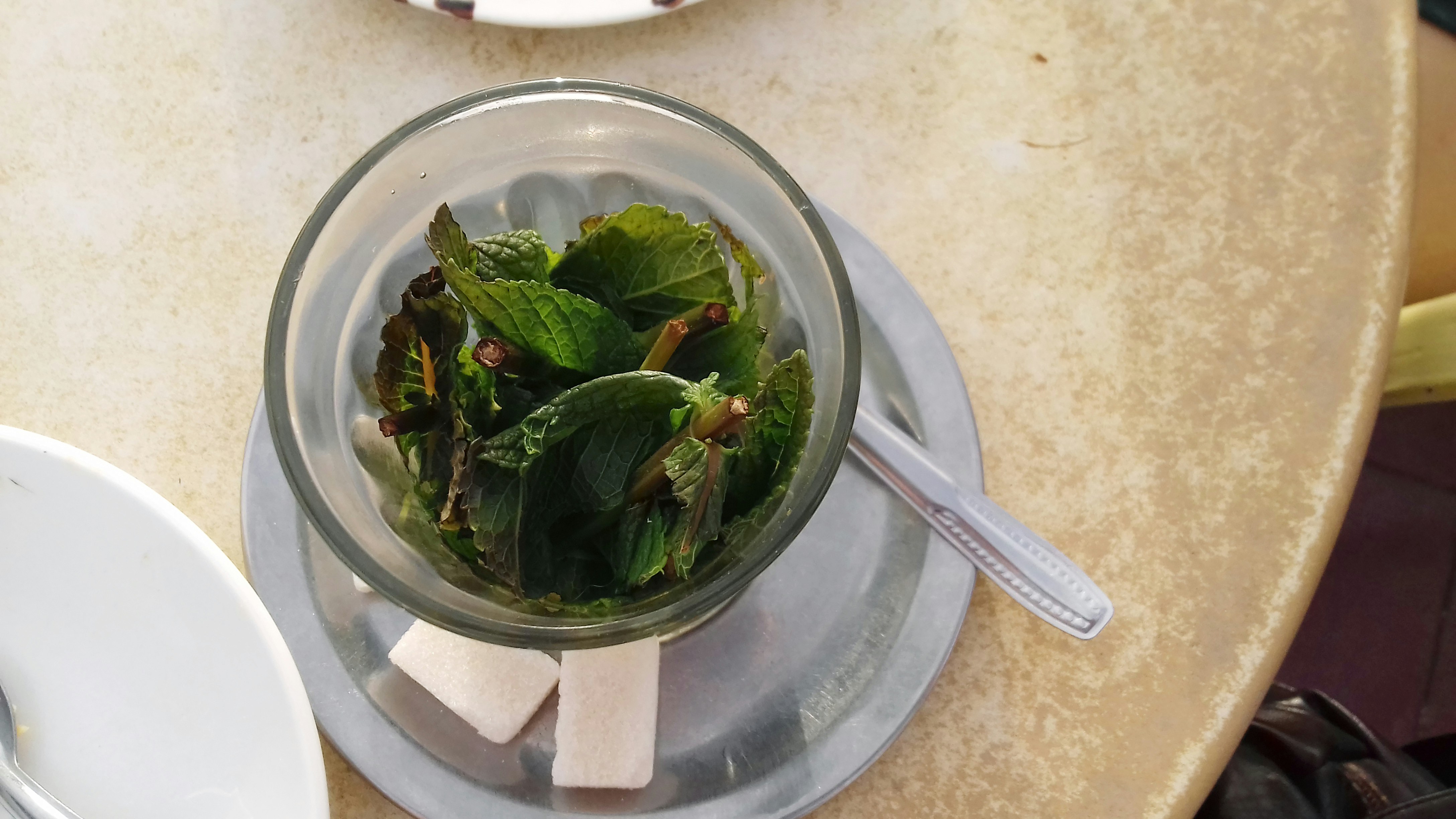 Fresh Lemonade - Freshly squeezed lemon with mint and sugar