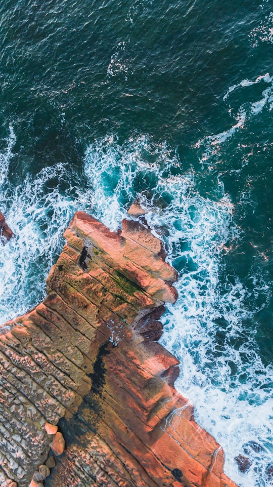 photo of Bundeena NSW Cliff near Wollongong Head Lighthouse