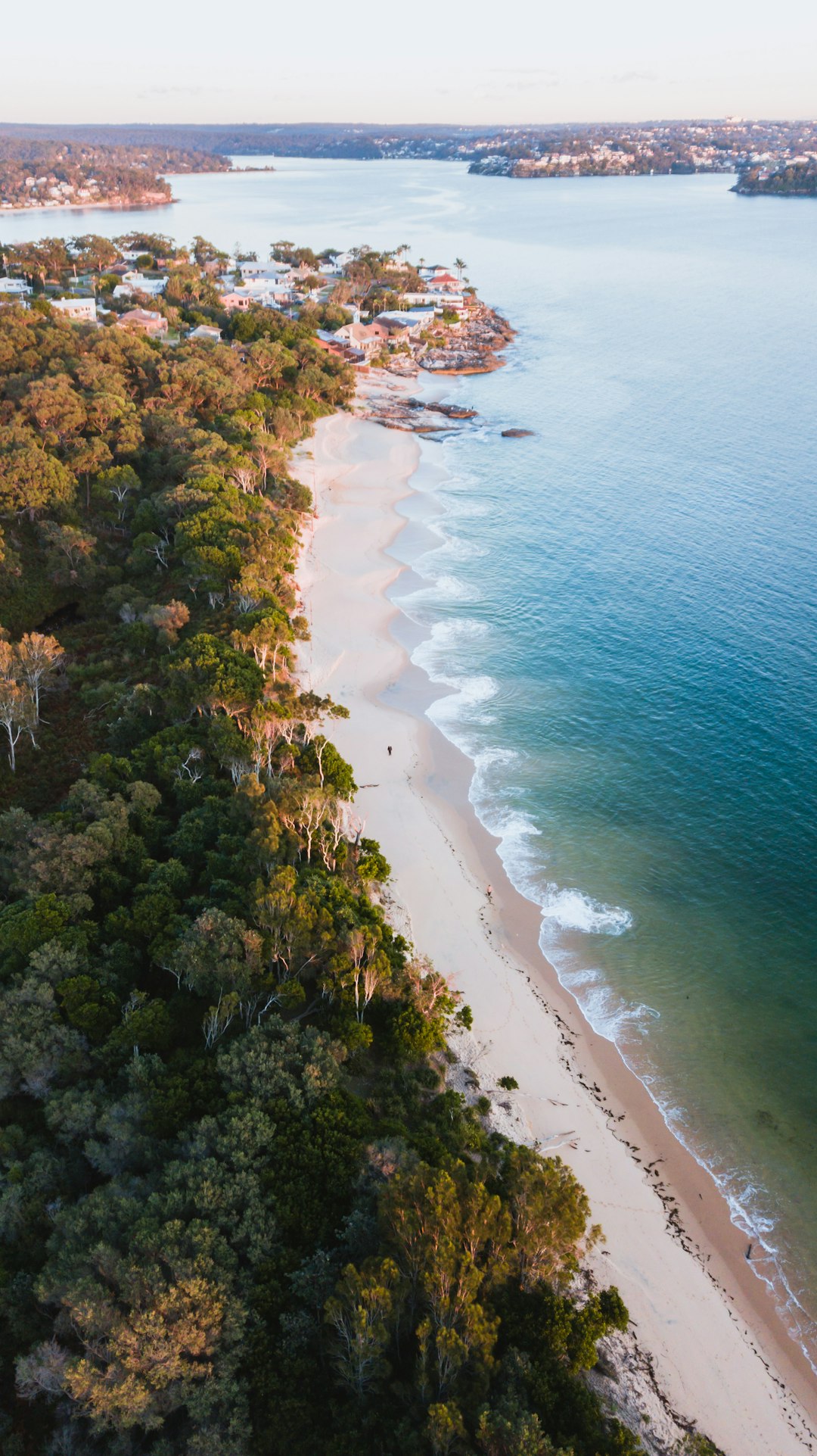 aerial view of green trees near body of water during daytime