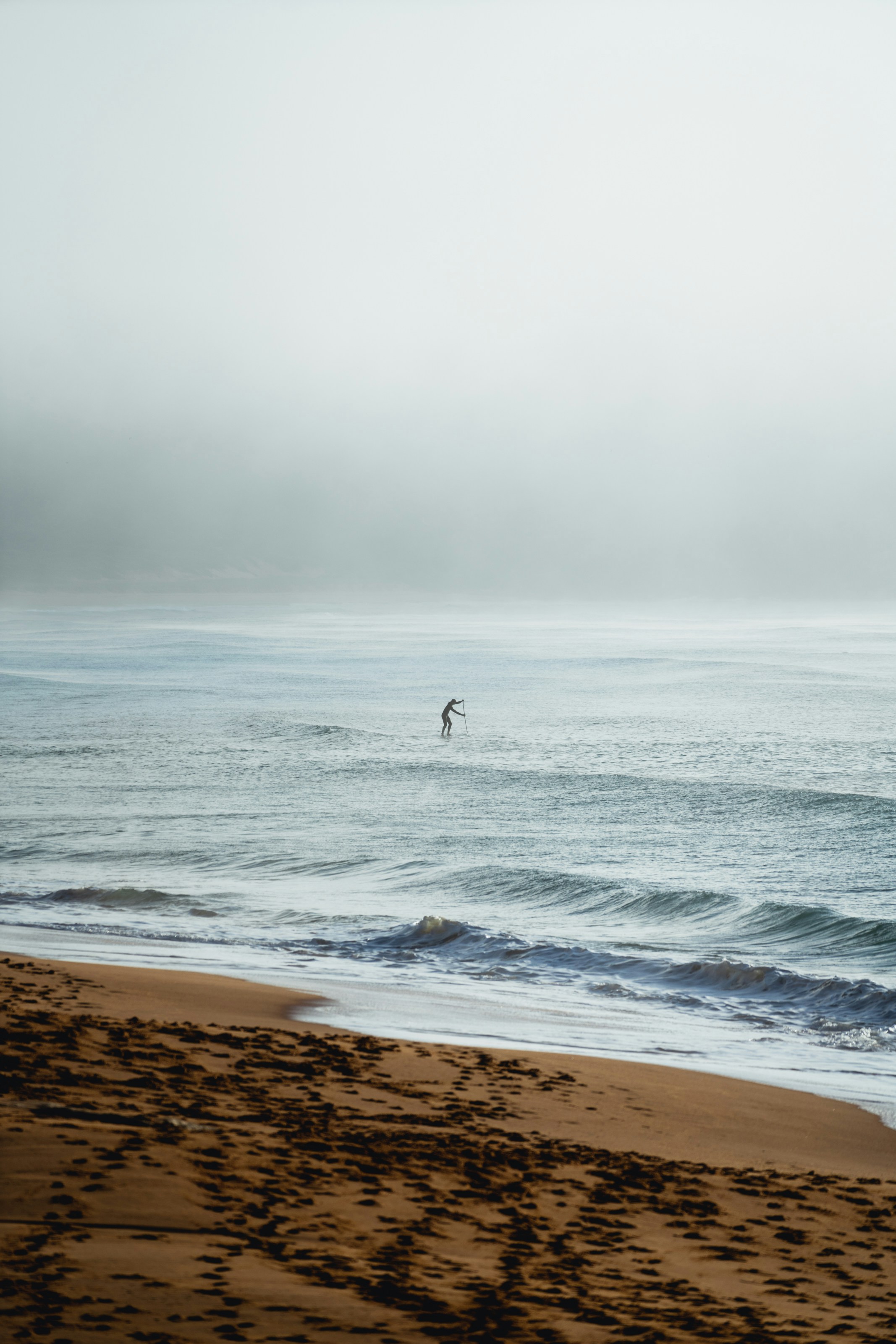 Photo by thomasyohei