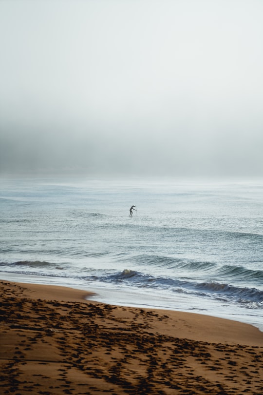 person in black wet suit walking on seashore during daytime in Palm Beach Australia