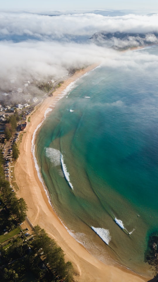 aerial view of green sea during daytime in Palm Beach Australia