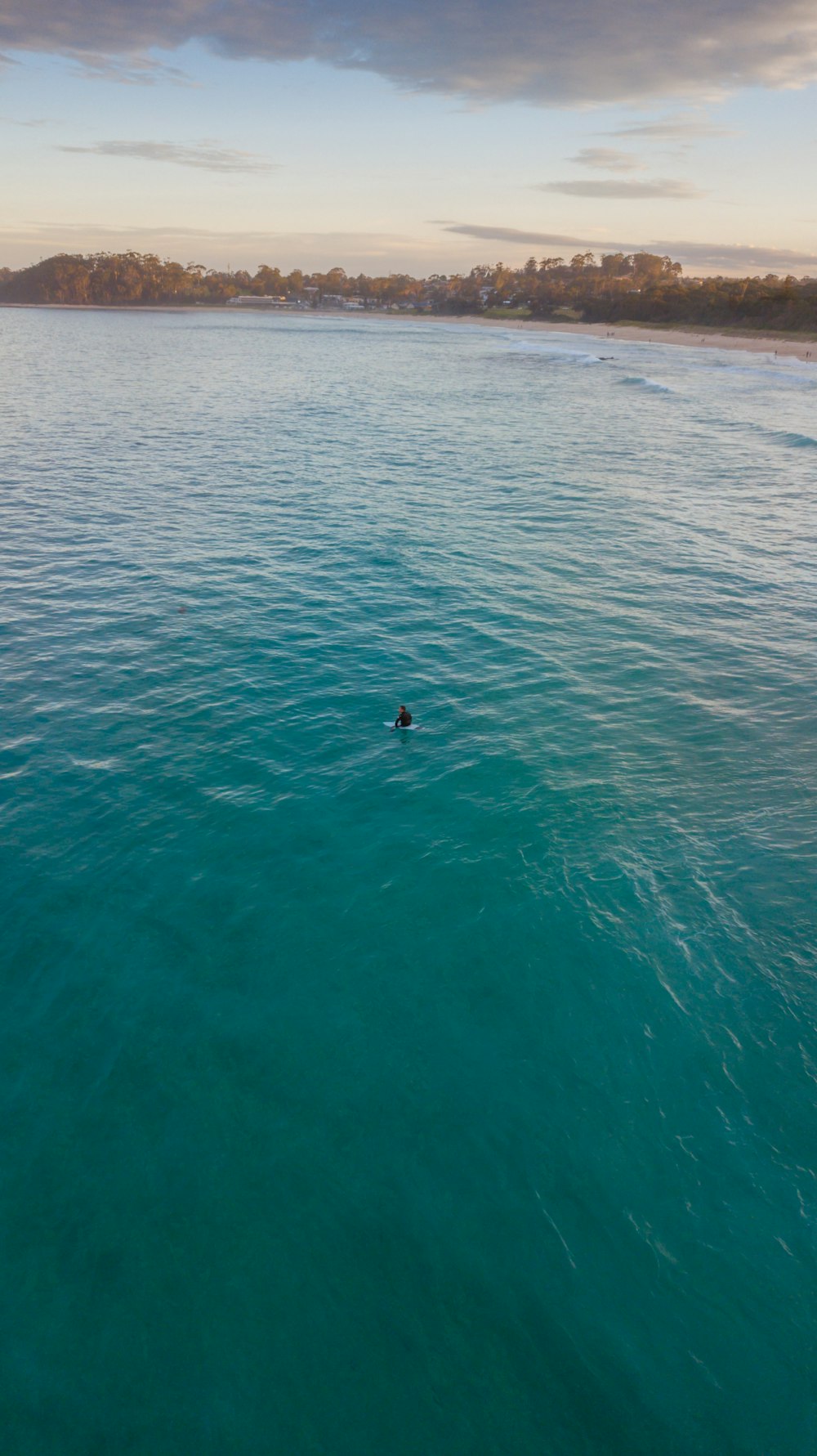 person swimming in the sea during daytime