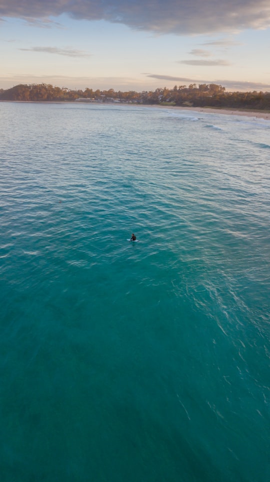 person swimming in the sea during daytime in Mollymook Beach NSW Australia