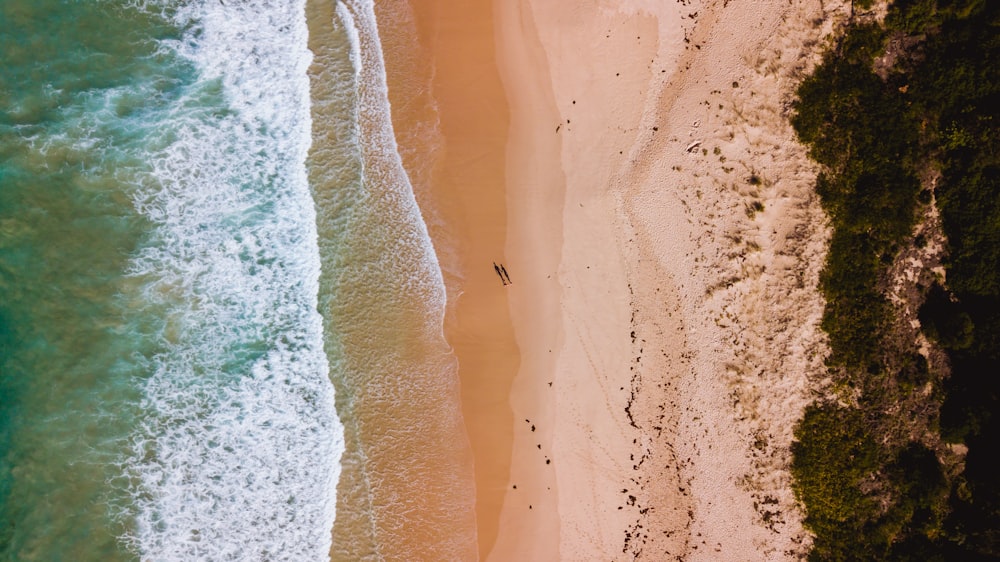 aerial view of people on beach during daytime