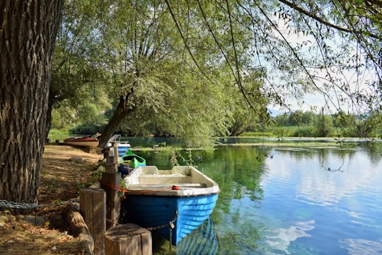 blue and white boat on blue body of water in Posta Fibreno Italy