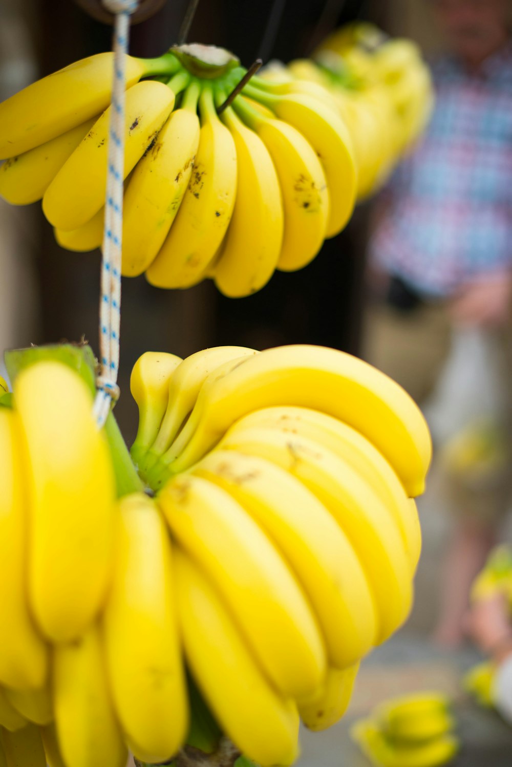 yellow banana fruit on gray metal wire