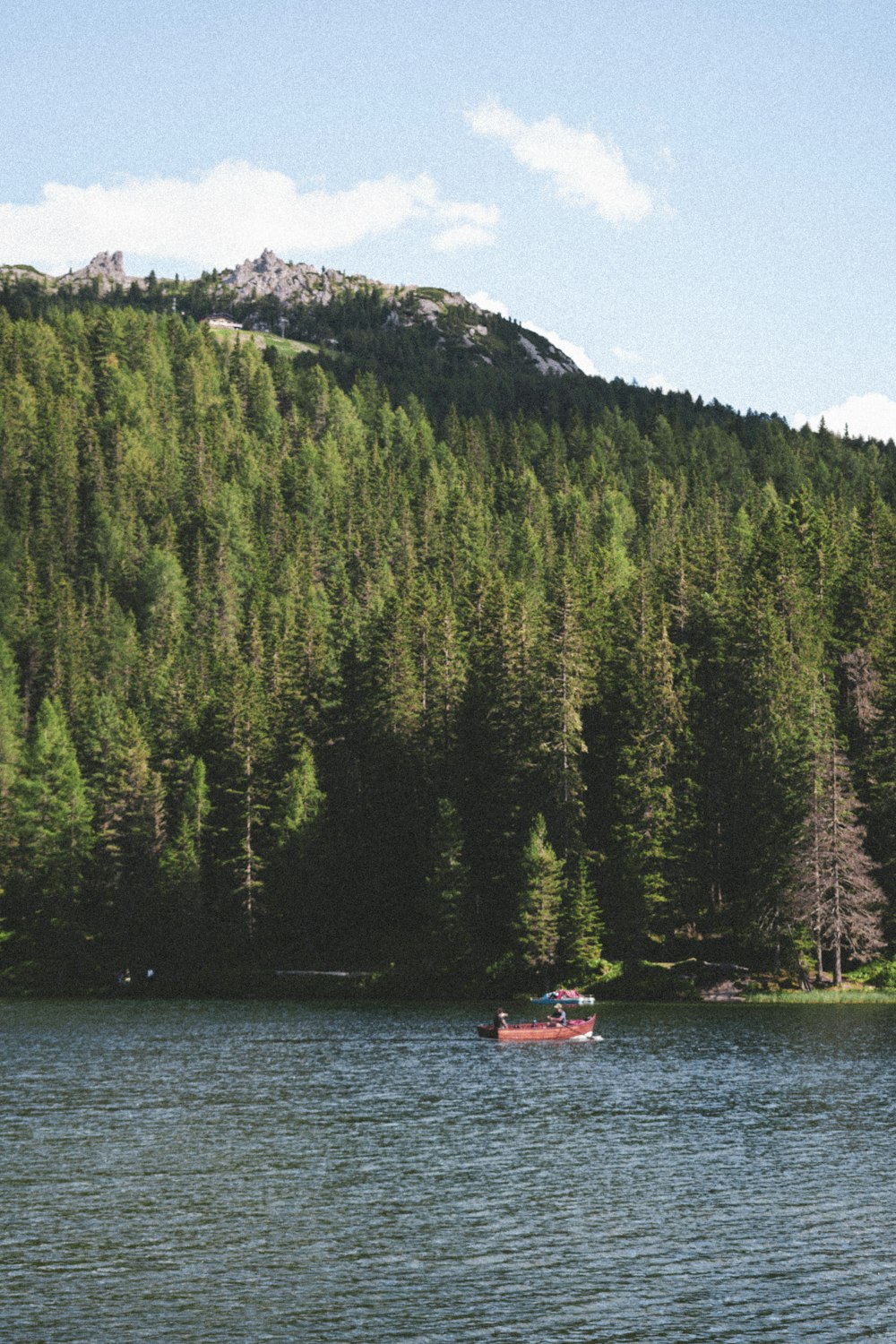 red boat on body of water near green trees during daytime