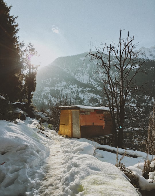 brown wooden house on snow covered ground near trees during daytime in Himachal Pradesh India