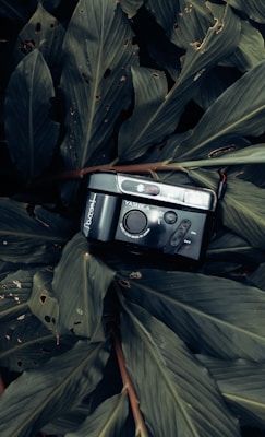 A vintage camera rests amidst large, tropical leaves with signs of natural wear, such as holes and browning edges. The scene is captured in subdued lighting, emphasizing the camera's black surface and the rich green of the foliage.