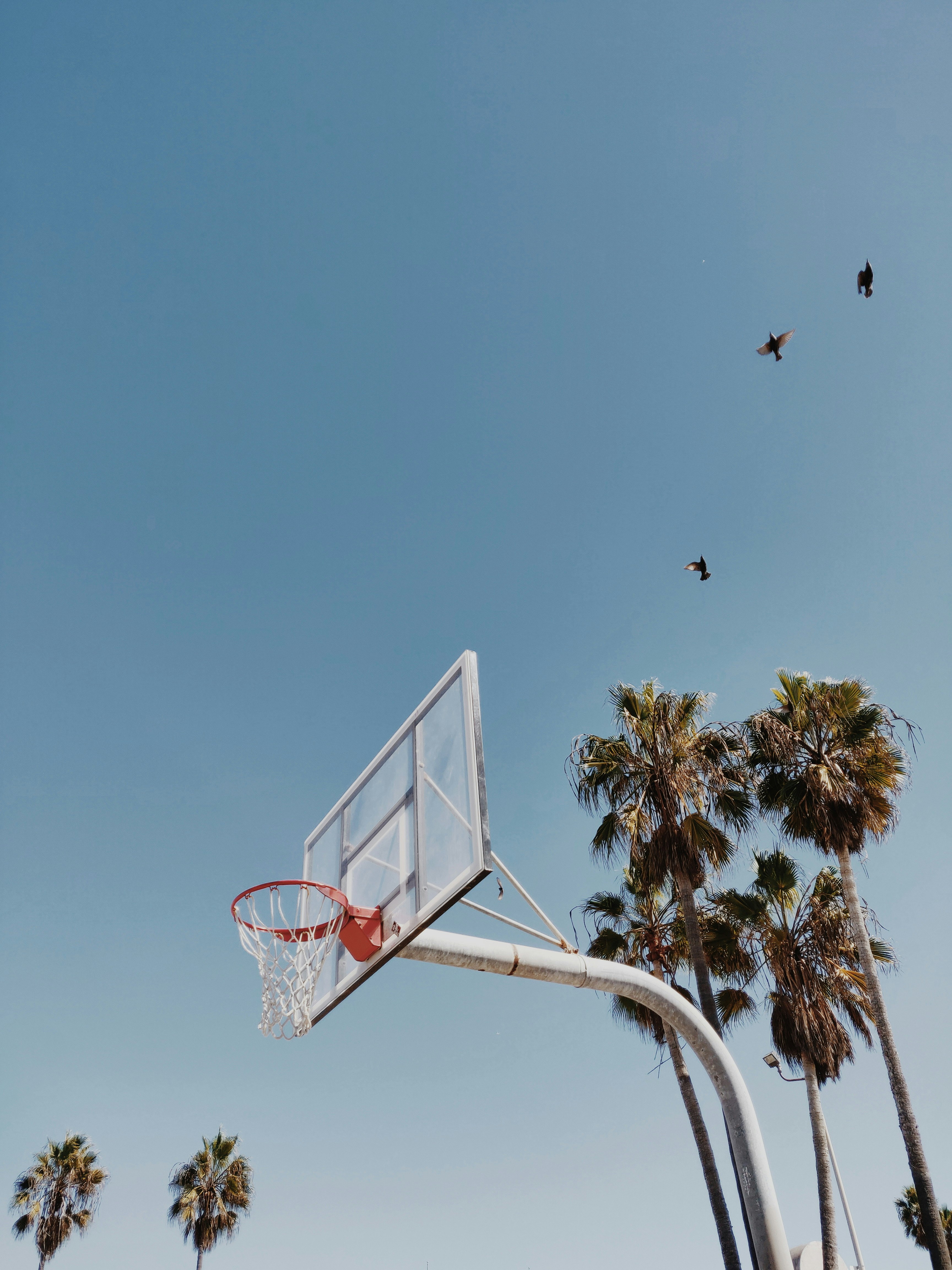 white and red basketball hoop