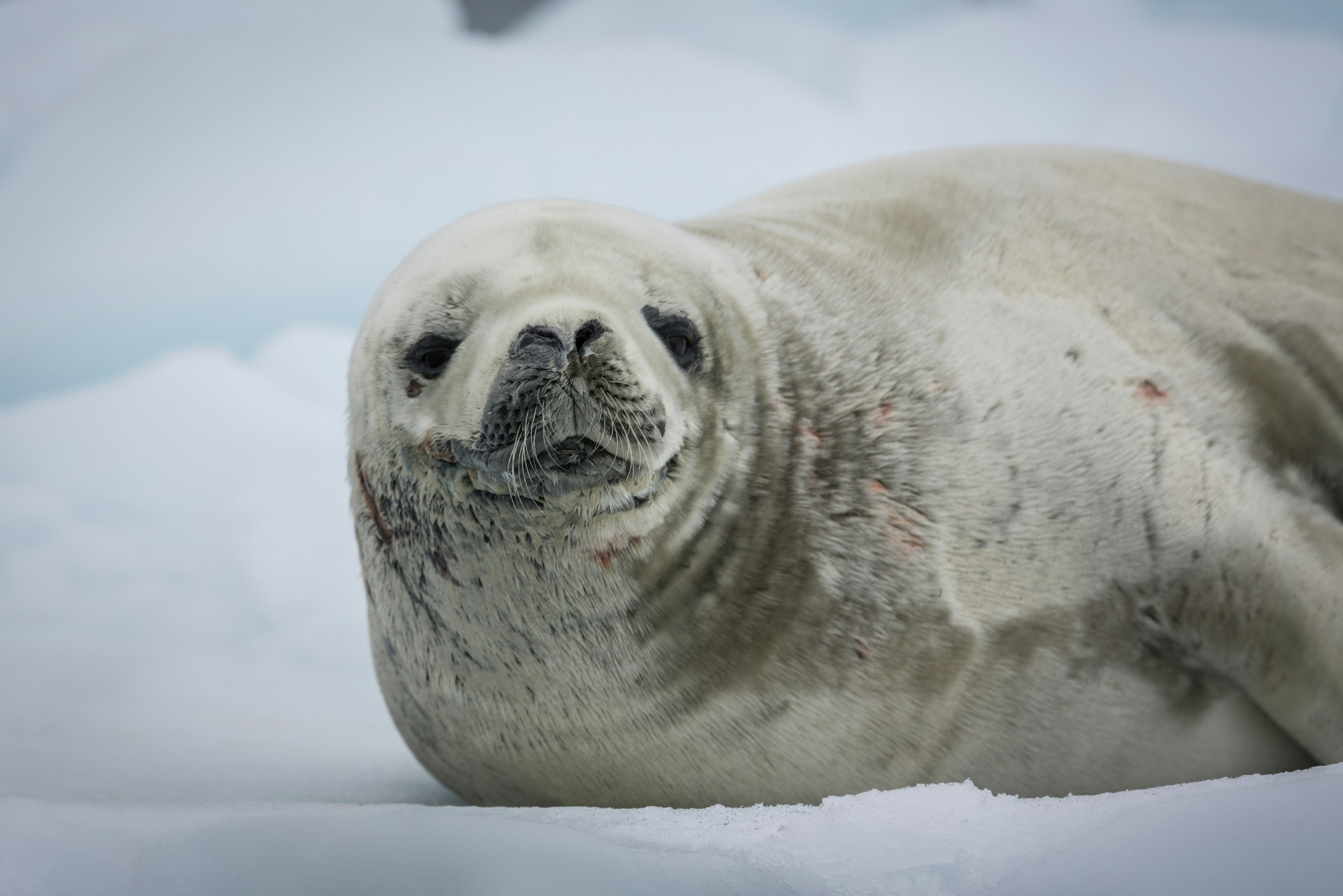 Photo by corneliusventures