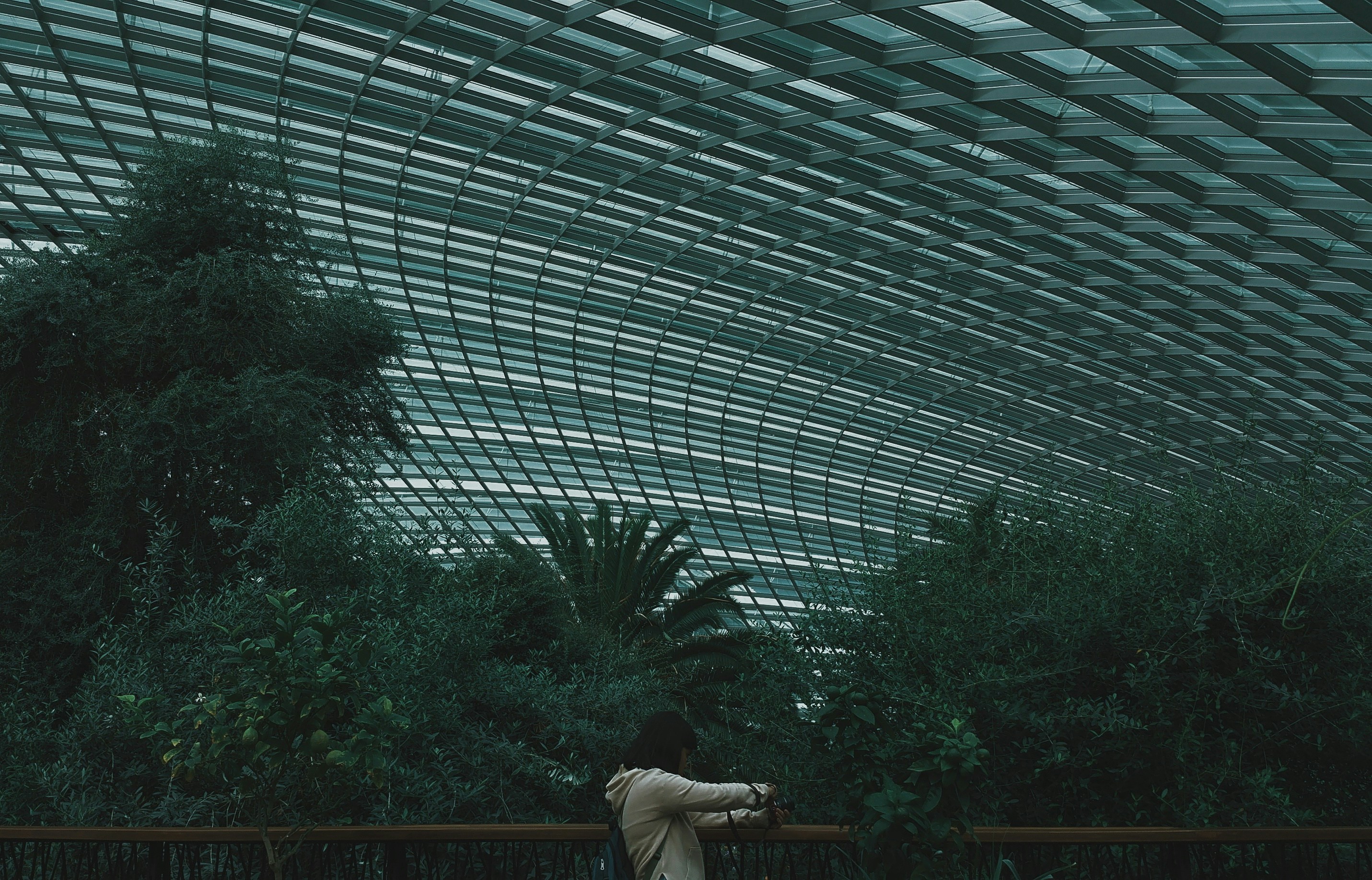 Photo by Hannah Sibayan on Unsplash