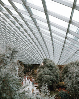 A group of visitors enjoying a tropical walk with Musthafa P A, surrounded by diverse plants.