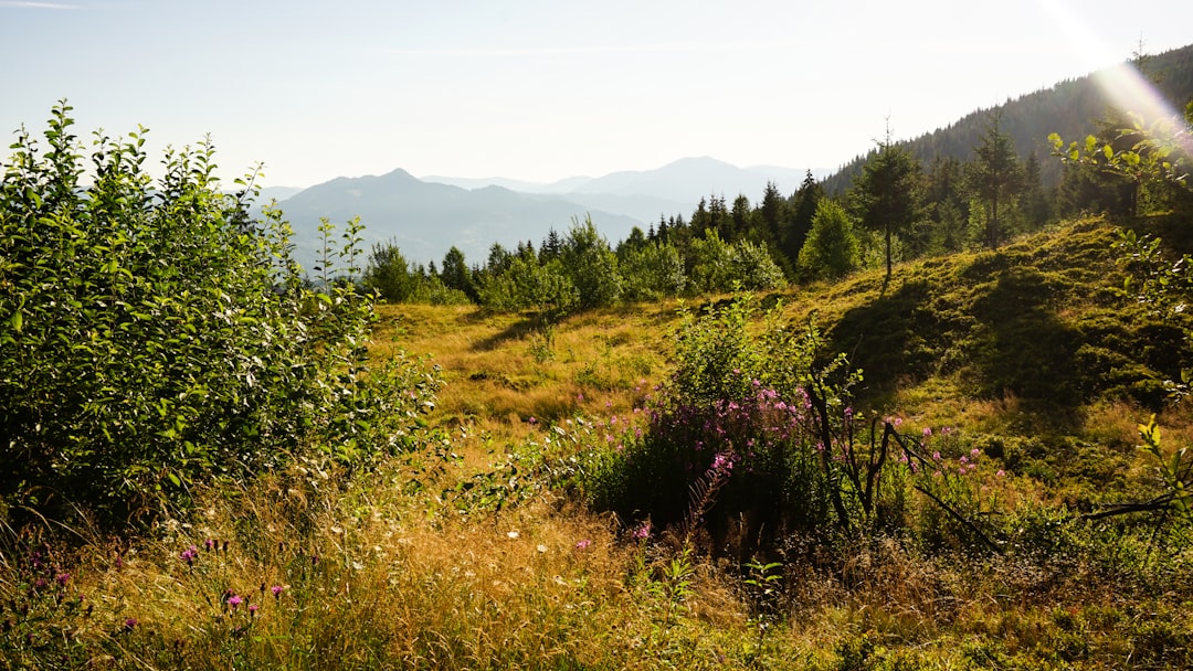 Nature reserve photo spot Rodna Mountains Romania