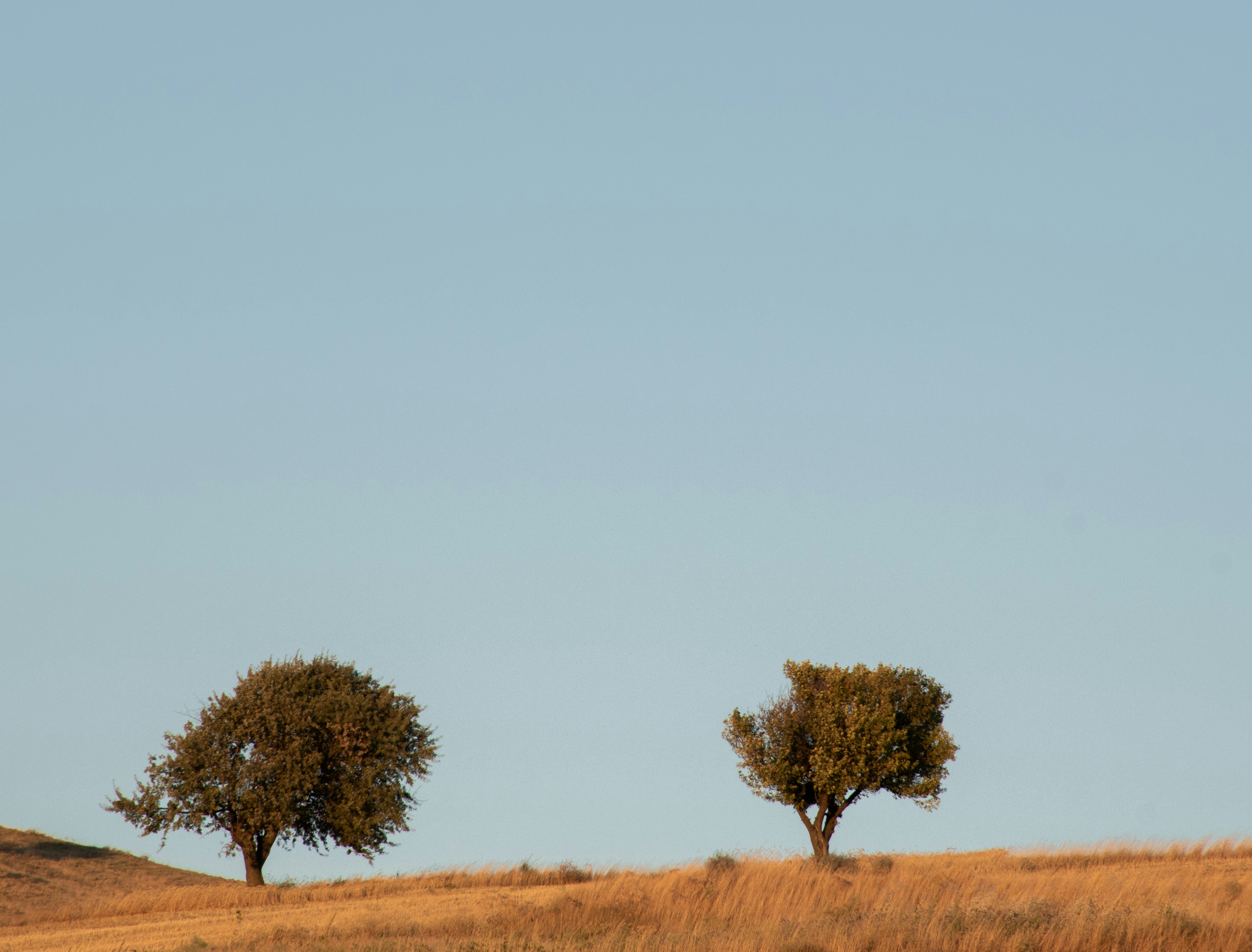 Photo by oskaycaglar