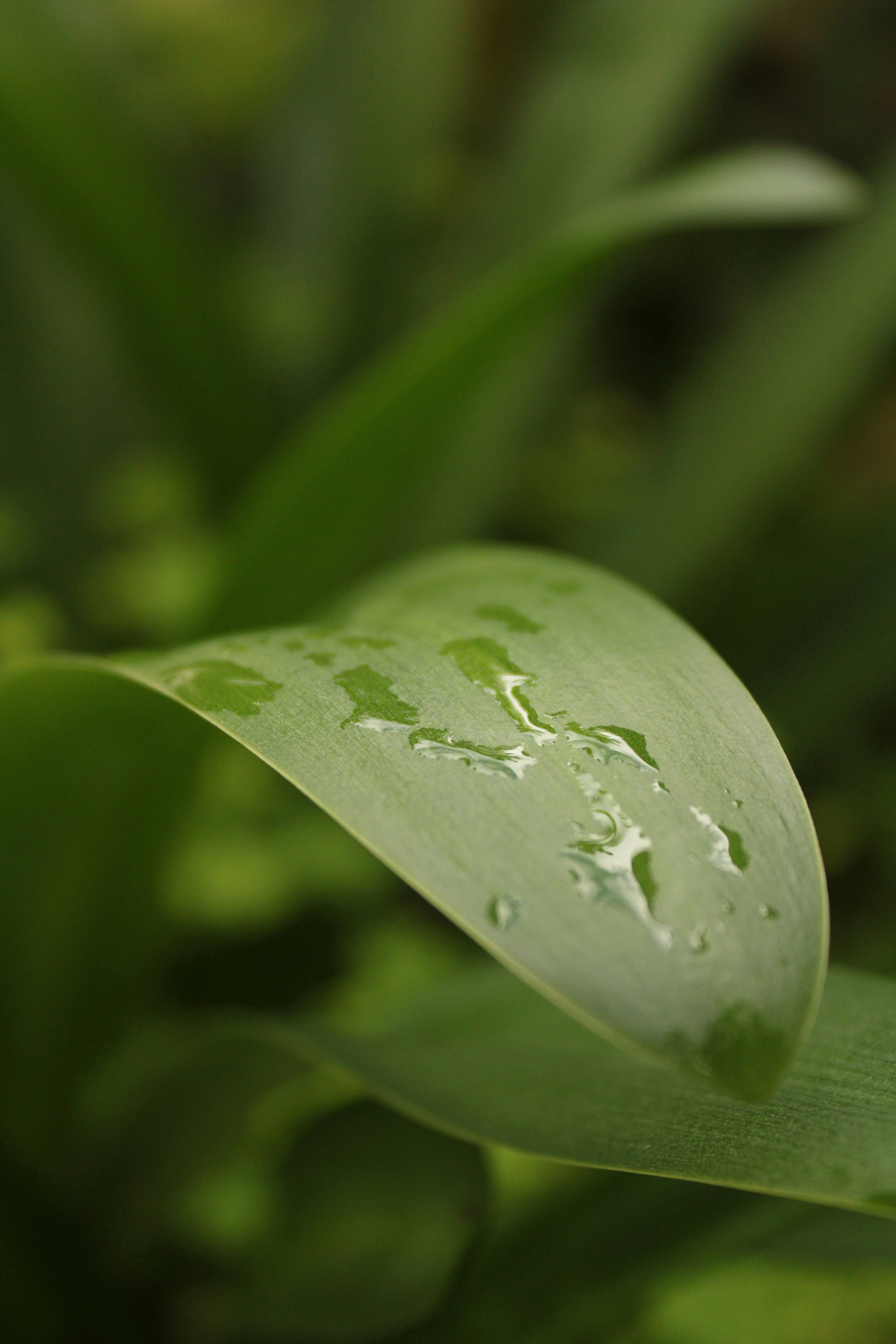 Photo by _sfletcher_