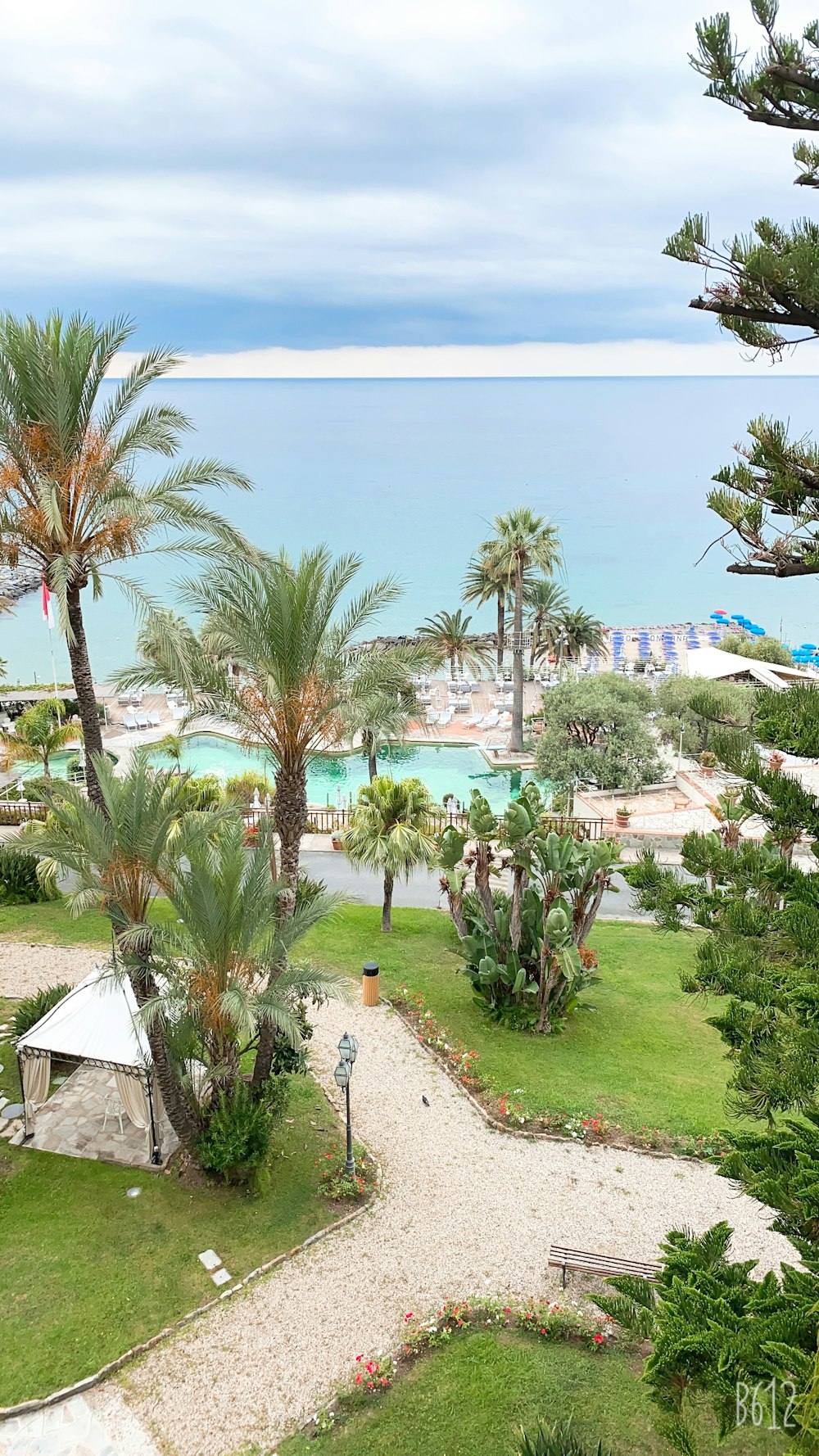 green palm trees near body of water during daytime