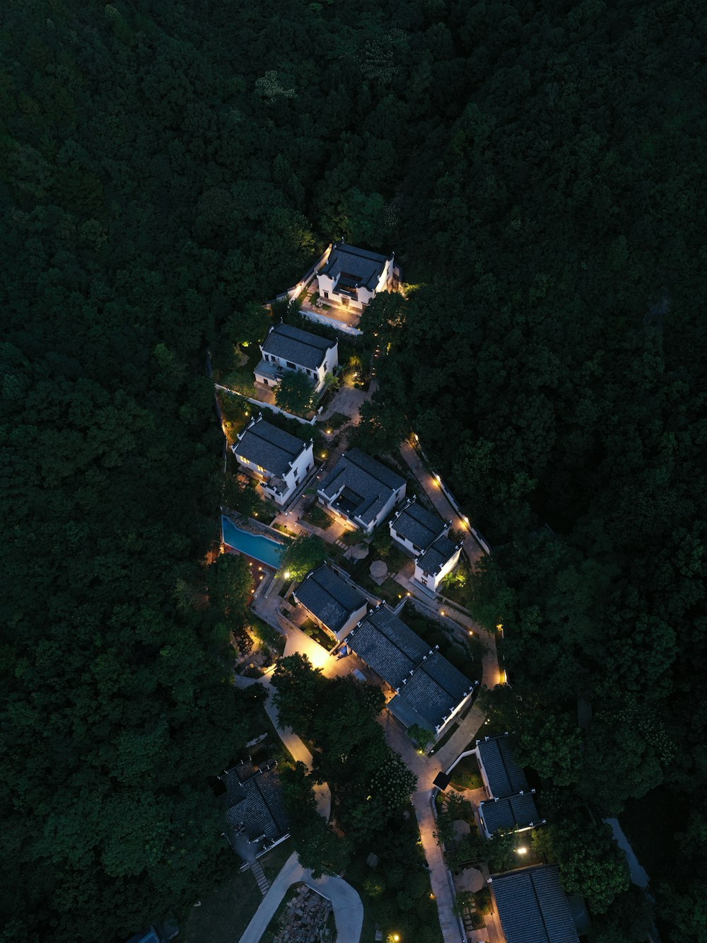 vista aérea de árvores e edifícios verdes durante o dia