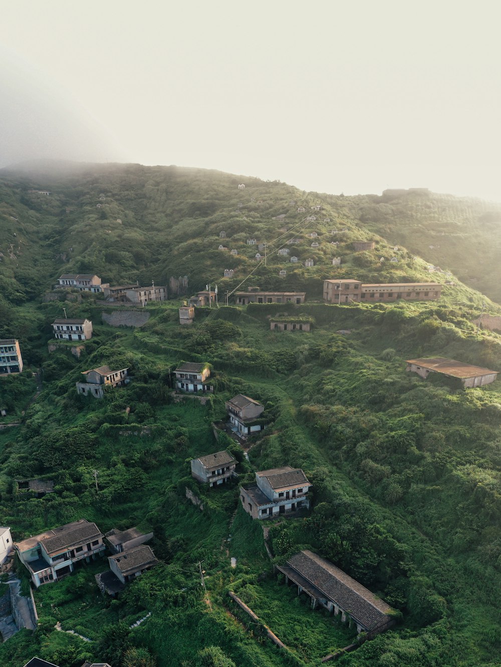 aerial view of green trees and mountains during daytime