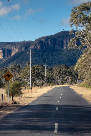 A two-lane road stretches into the distance flanked by dry grass and eucalyptus trees, with a clear view of a rocky escarpment in the background. The sky is bright, featuring a few scattered clouds. A road sign with a kangaroo symbol is visible on the left, indicating a wildlife crossing area. Power lines run parallel to the road.