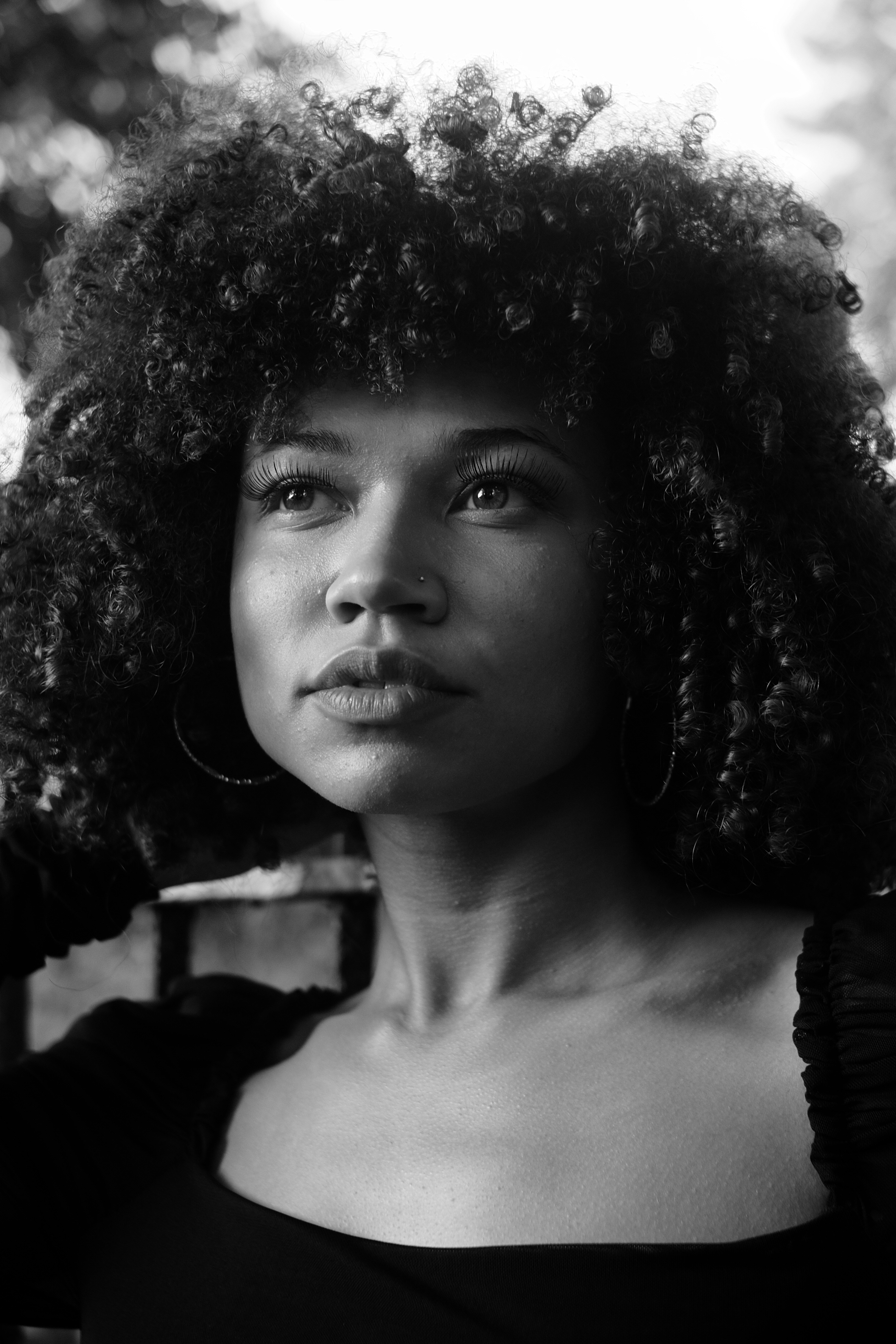 natural curly haircut at Noelle Salon Boston