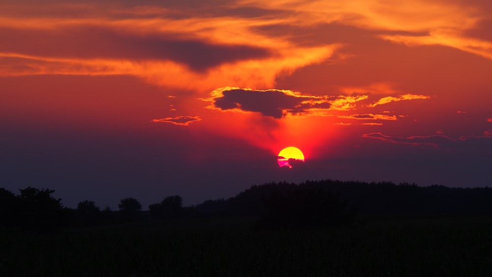 Silhouette von Vögeln, die während des Sonnenuntergangs fliegen