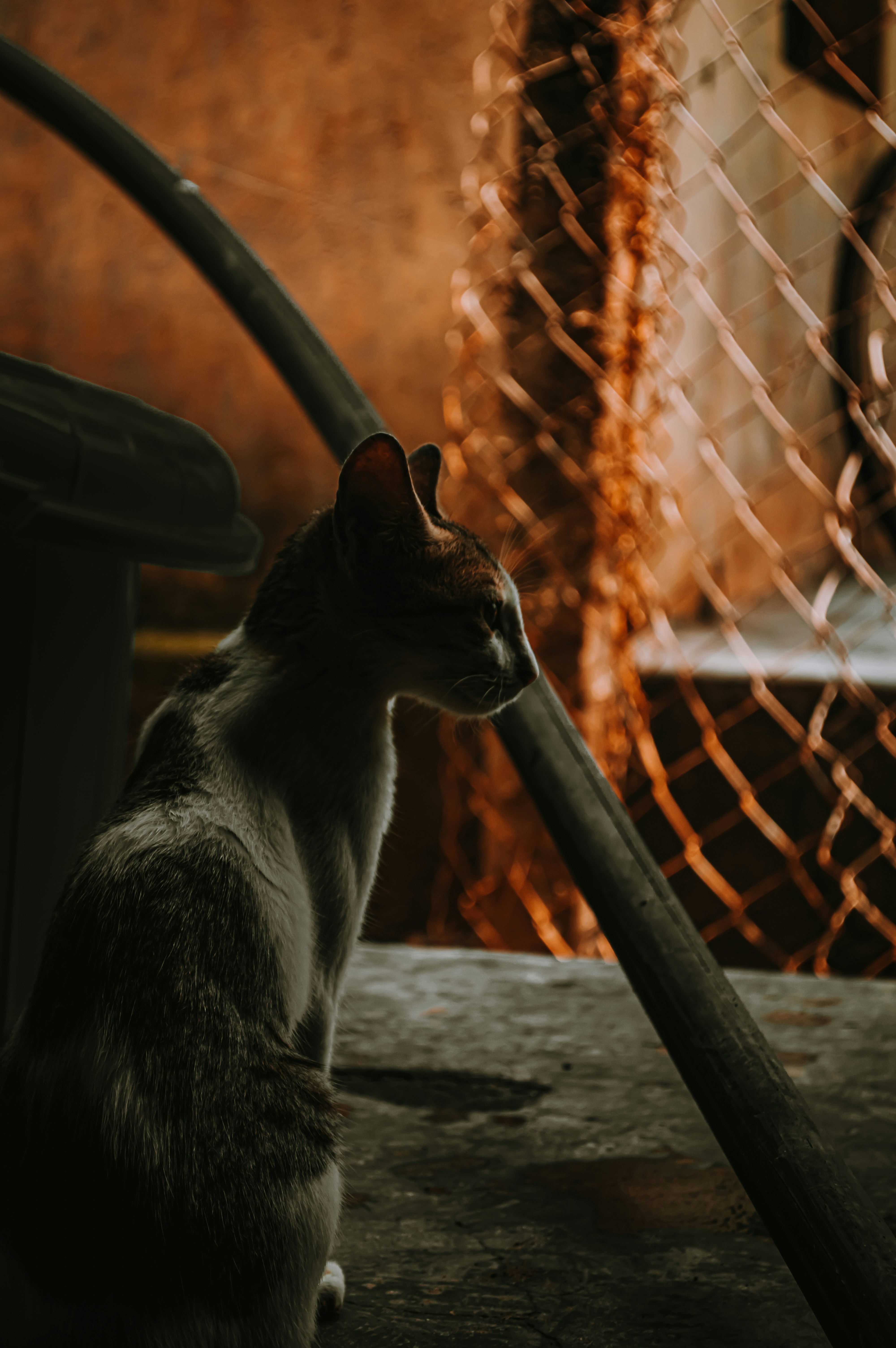 Photo by amitpritam
