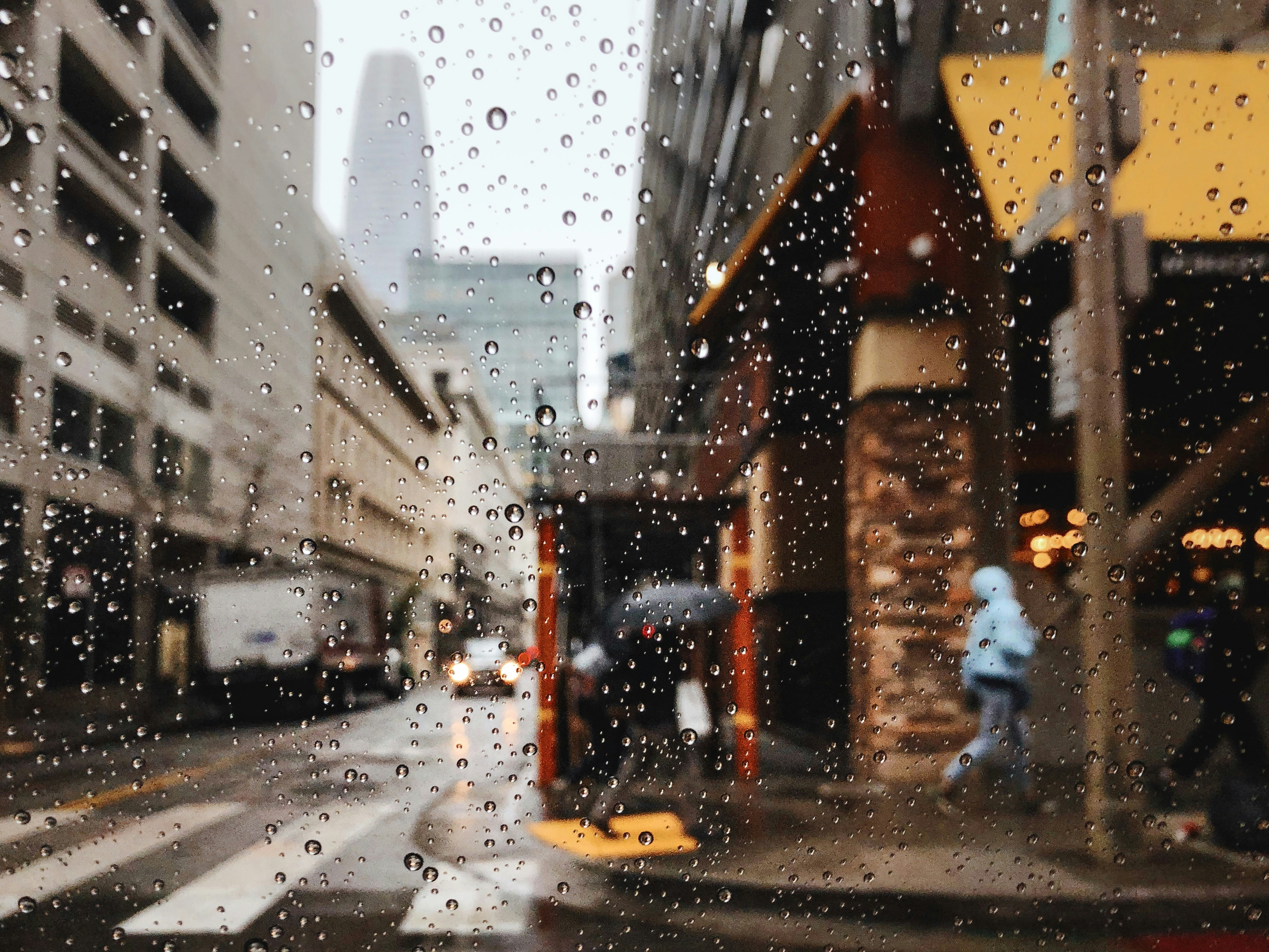 People Walking on a Rainy Day