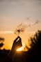 silhouette of person holding flower during sunset