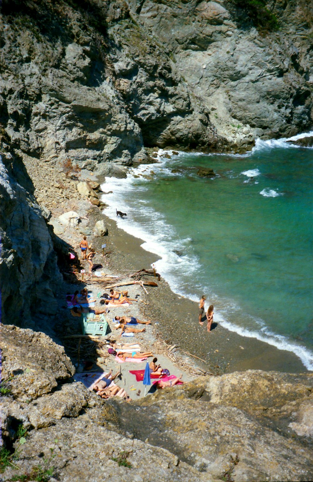 people on beach during daytime