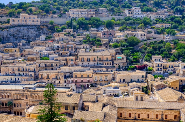 An expansive view of a hillside Italian village featuring densely packed stone buildings with clay-tiled roofs. Narrow streets weave through the architecture, surrounded by lush greenery and trees, especially on the upper slopes. The bright sunlight casts vibrant shadows, highlighting the historical and architectural details of the structures.