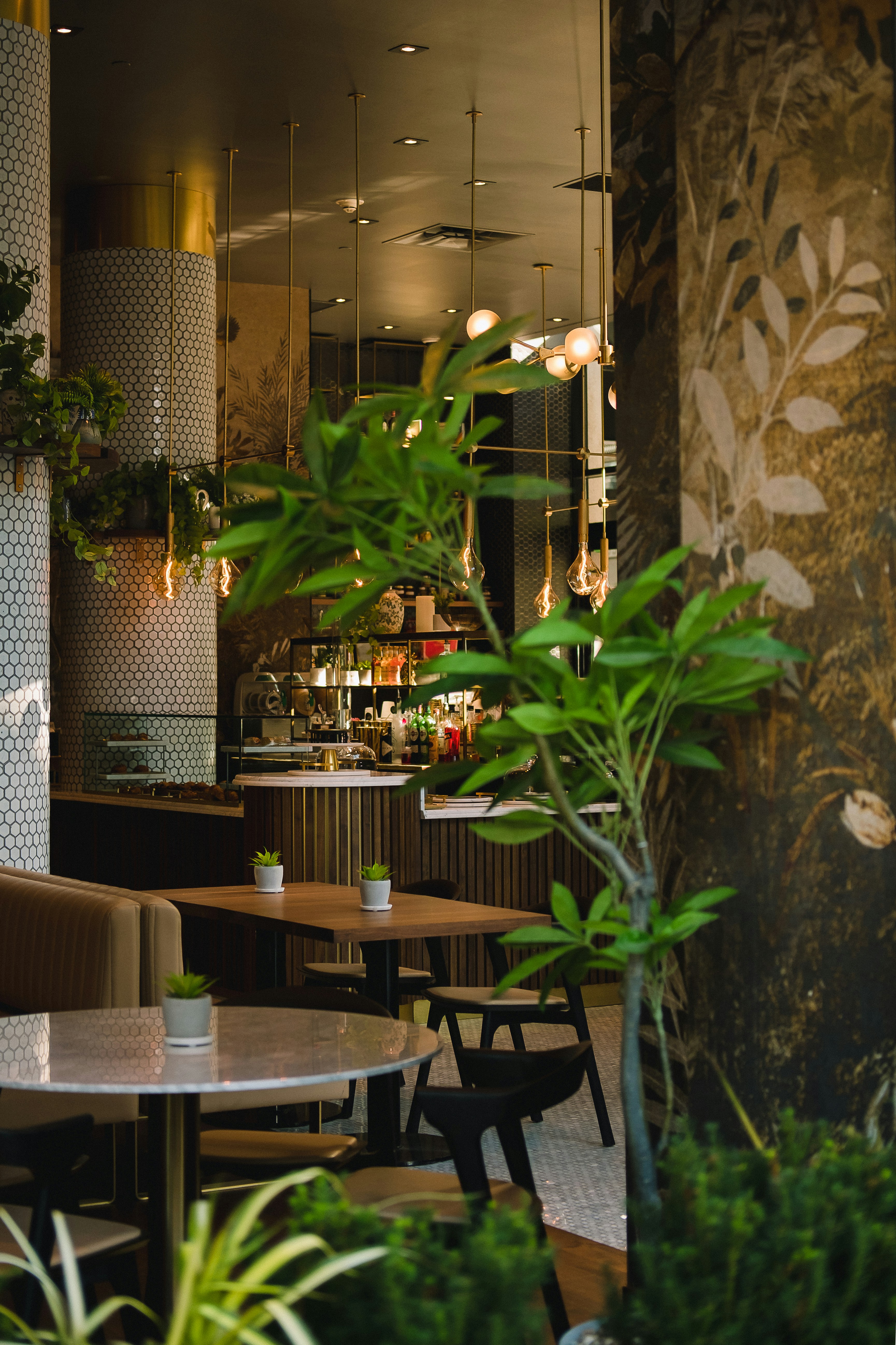 Photo by thombradley