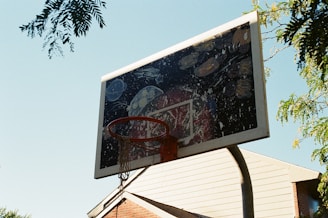 basketball hoop near palm tree during daytime
