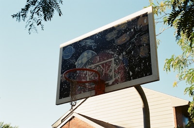 basketball hoop near palm tree during daytime